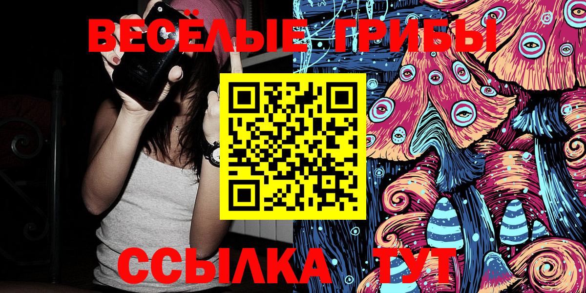 Псилоцибиновые грибы Psilocybine cubensis Сертолово