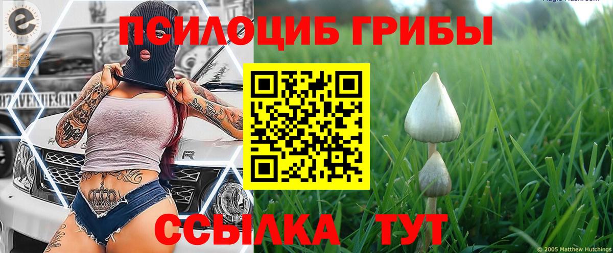 Галлюциногенные грибы Psilocybine cubensis  Псилоцибиновые грибы мицелий  Вход с VPN  Сертолово 